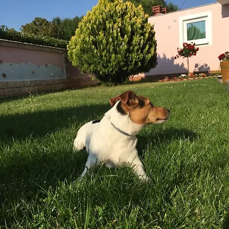 Baldi * Tar-Vabriga